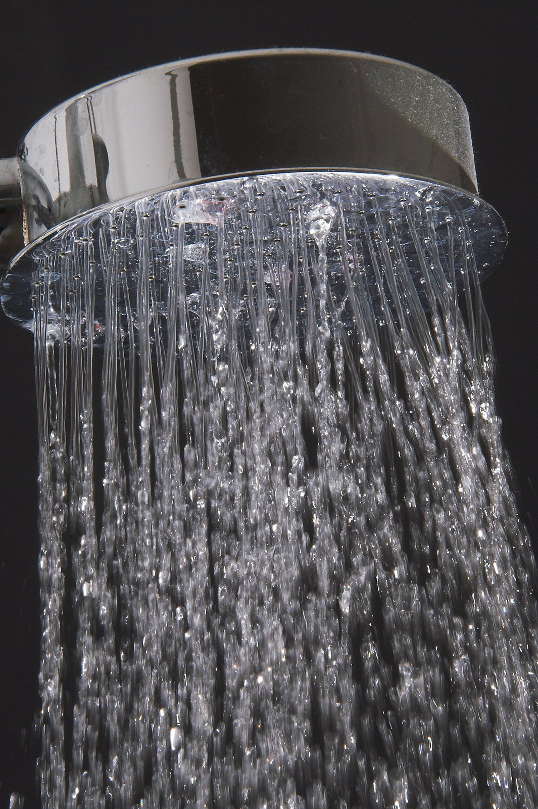 shower head